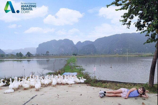 Full Day Private Tour in Ninh Binh(Trang An-Bich Dong-Mua Cave) - Sports-bike day pace: who this tour suits best