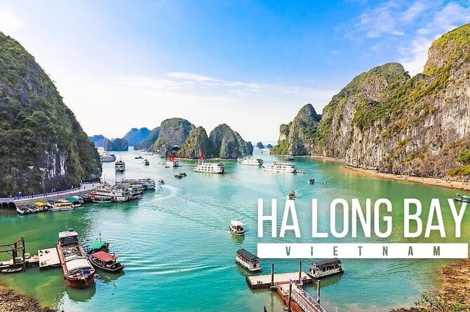 Full day Tour Explore Halong Bay - Lunch Aboard: Seafood, Vietnamese Favorites, and the Comfort of a Real Meal