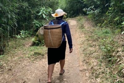 Full Day Trekking in Sapa - Pickup, WhatsApp Planning, and the Start Time That Keeps You Out of Rush Hour