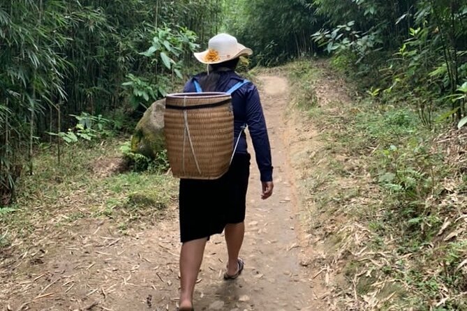 Full Day Trekking in Sapa - Pickup, WhatsApp Planning, and the Start Time That Keeps You Out of Rush Hour