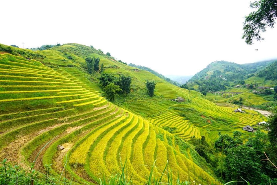 Full Day Trekking Lao Chai-Ta Van and Cat Cat Village - Why This Lao Chai–Ta Van to Cat Cat Trek Makes Sense in One Day