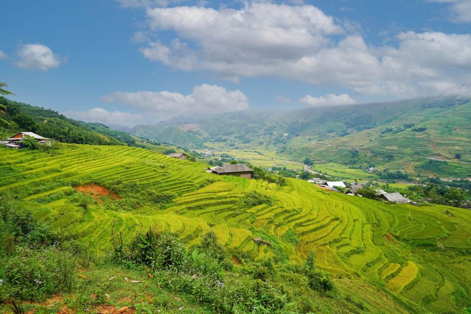 Full Day Trekking Lao Chai-Ta Van and Cat Cat Village - Muong Hoa Valley: Rice Terraces and Stream Walks That Change Mood Fast