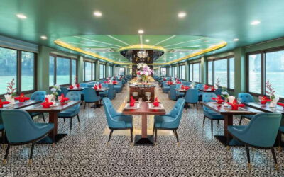 Ha Long & Bai Tu Long bay cruise wt Kayakking & buffet lunch - The luxury cruise rhythm: welcome drink, scenic passing, and a big lunch moment