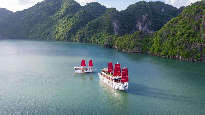 Ha Long Bay - Bai Tu Long Bay Luxury Boat Tour & Transfer - Tea party, sunset time, and the onboard pacing that keeps it fun