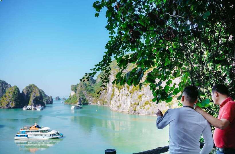 Ha Long Bay Day Trip with Best Price - Price and value: starting at $18, but read the transfer fine print