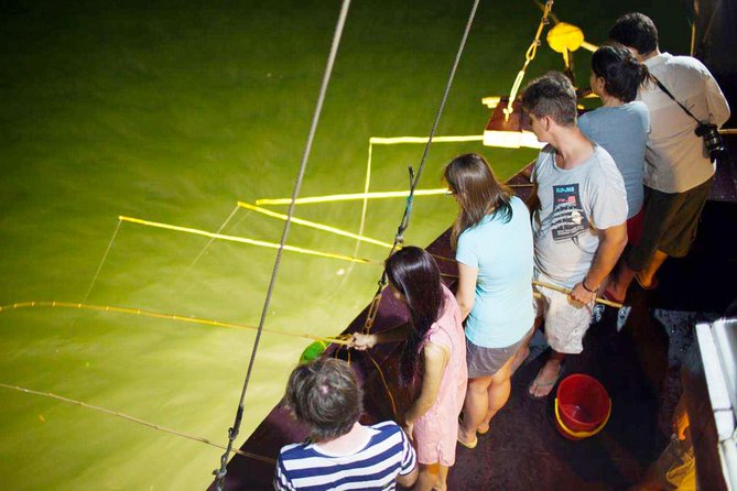 Ha Long Bay & Lan Ha Bay 2D1N on 5-star Cruises - Ha Long Bay on Day Two: tender to the fishing area and Dark & Bright Cave
