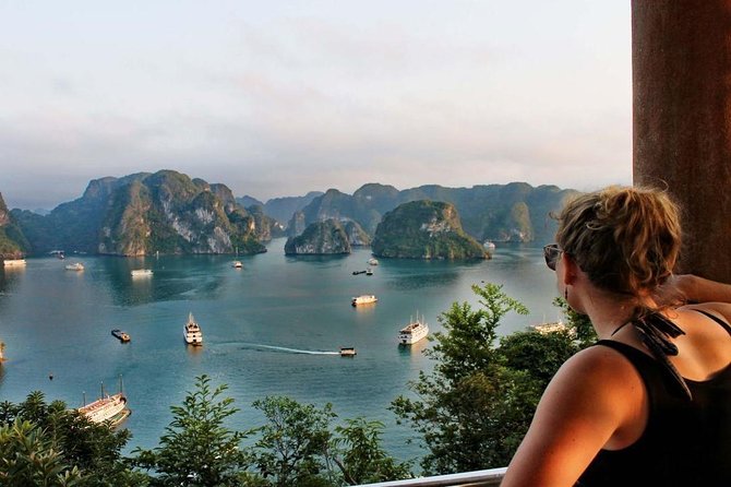 Ha Long Bay Luxury Cruise 1 Day - Buffet lunch on a luxury cruise: what it adds to the price
