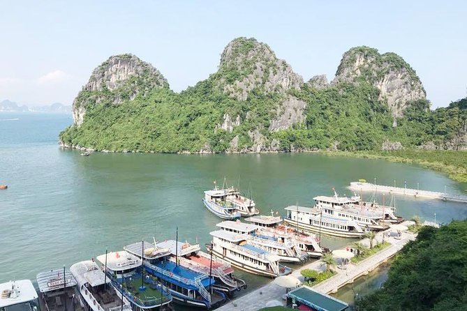 Ha Long Full Day 4-Hour Trip from Hanoi - Thien Cung Cave (Heavenly Palace Grotto): the classic wow factor
