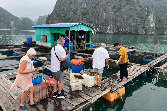 Ha noi: 3D- Halong, Lan ha bay classic cruise, Ninh Binh full day - Why this Ha Long + Ninh Binh combo works