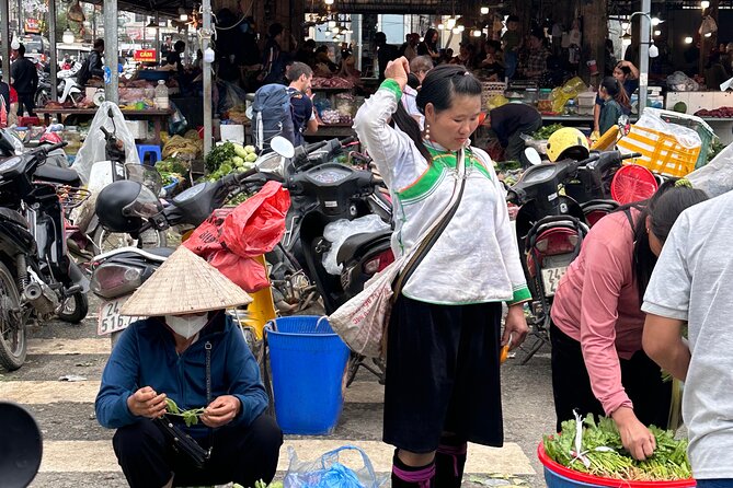 Ha Noi Car Transfer to Sapa or Vice Versa - Private transfer logic: who it’s best for