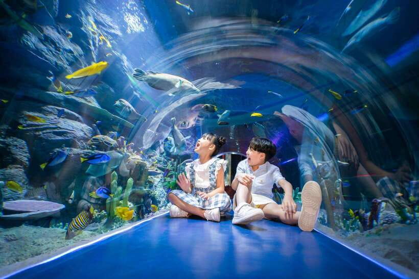 Ha Noi: VinKE and Vinpearl Aquarium Entry Ticket - Key highlights you’ll actually care about