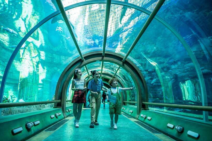 Ha Noi: VinKE and Vinpearl Aquarium Entry Ticket - Where this experience fits in Ha Noi: Vincom Mega Mall Times City