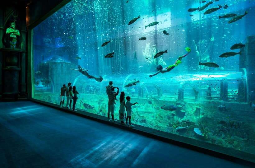 Ha Noi: VinKE and Vinpearl Aquarium Entry Ticket - Hours and show times: Plan your day around the clock