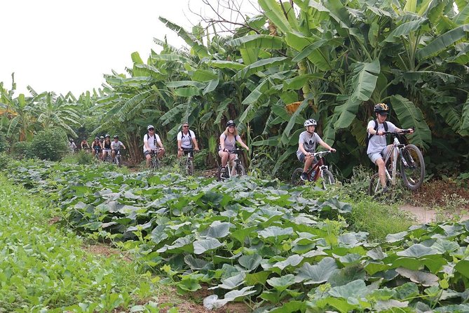 Half-Day Bicycle Tour Combine City & Countryside + Train Street - Ba Dinh Square: Monument Scale and Big-City Landmarks
