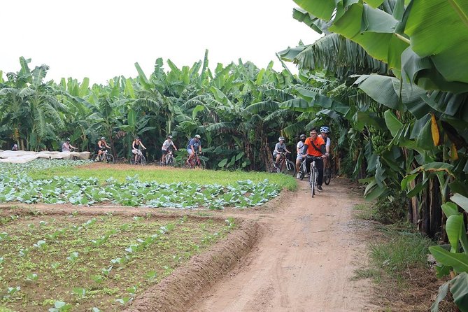 Half-Day Bicycle Tour Combine City & Countryside + Train Street - Old Quarter First: Getting Oriented by Moving Streets