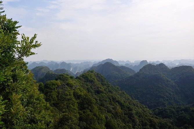 Half Day Hiking to Discover Cat Ba National Park with a Guide - Key highlights worth your attention