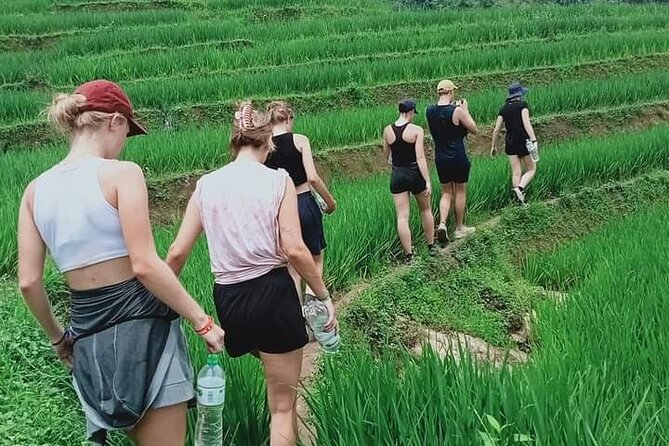 Half-Day Hometrek from Sapa with Hmong Sister House - A half-day trek that connects Sapa’s villages to one real home