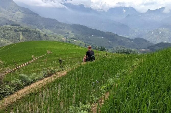 Half-Day Hometrek from Sapa with Hmong Sister House - Guides make or break the experience, and here it’s a strength