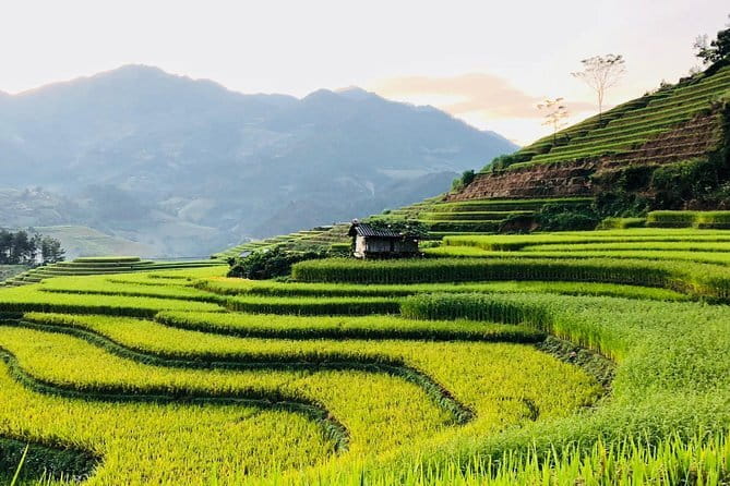 Half-Day Private Muong Hoa Valley Trek and Ethnic Tribes Tour - Private tour logistics that actually help your day