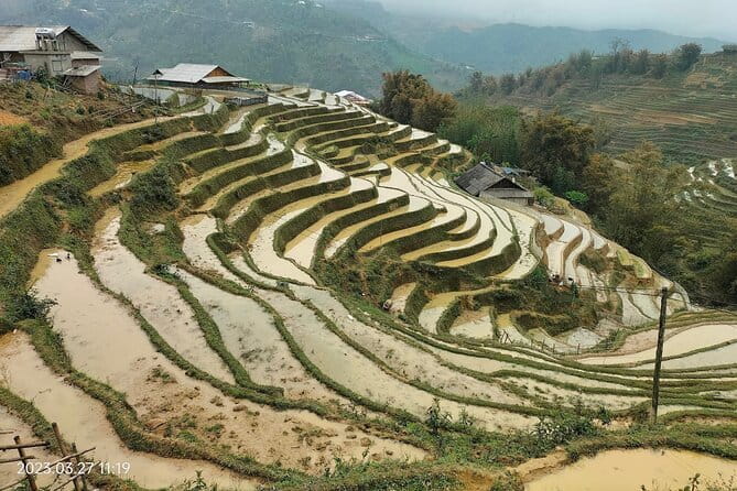 Half-Day Private Muong Hoa Valley Trek and Ethnic Tribes Tour - Entering Muong Hoa Valley: Y Linh Ho and the Black Hmong introduction