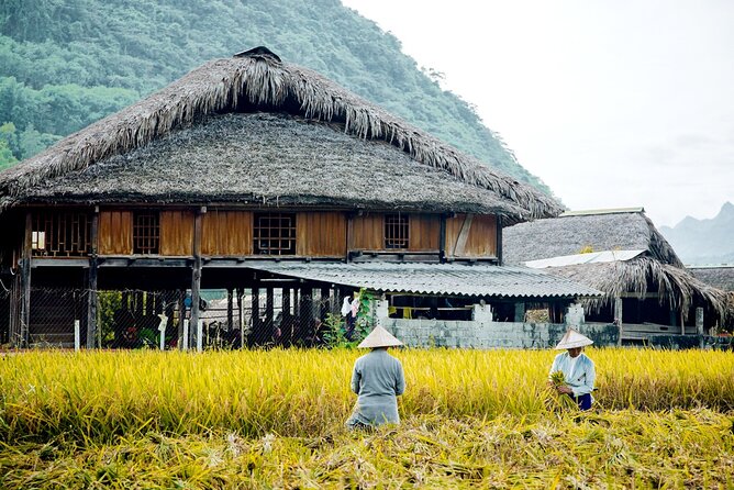 Half Day Sapa Cat Cat Explore Waterfall, Workshop, H'mong Local - Stop 1 in Sapa: the downhill walk and big views