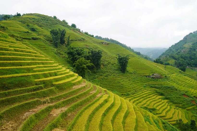 Half Day Sapa Trekking to Visit Lao Chai - Ta Van - Stop 3: Ta Van village—Dzay community time and a real break