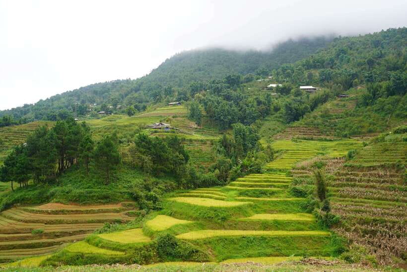 Half Day Sapa Trekking to Visit Lao Chai - Ta Van - Fitness and weather reality: steep, uneven, and sometimes muddy