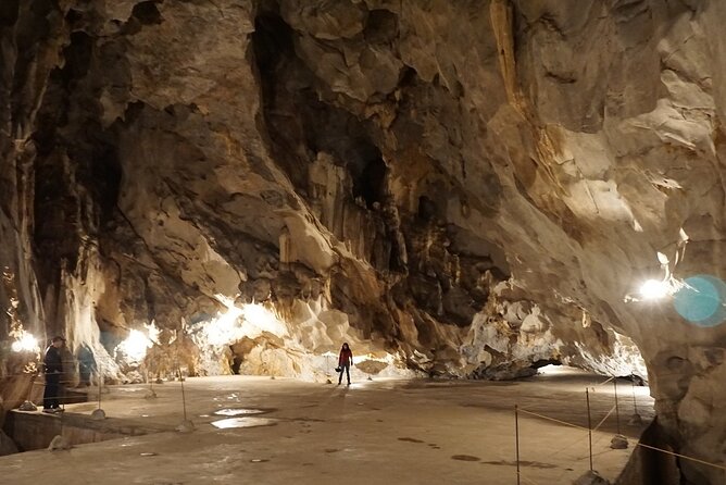 Half Day Trekking Cat Ba National Park - Into Cat Ba National Park: trek time, birds, and the Ngu Lam climb