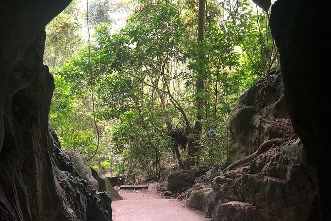 Half Day Trekking Cat Ba National Park - Ngu Lam Peak: primeval forest views with a summit payoff