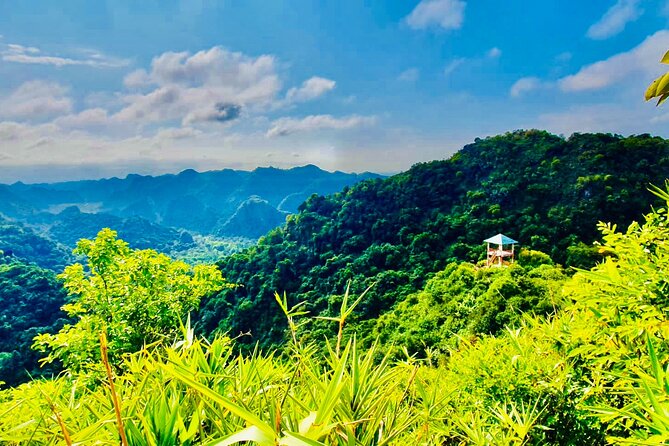 Half Day Trekking in Cat Ba National Park and Hospital Cave - Why guides matter here (and how they keep the hike easy)