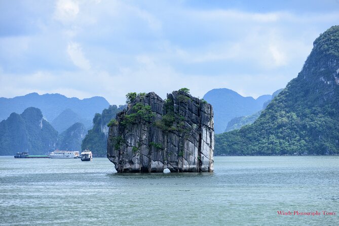 Halong Bay 6 Hours Cruise with Buffet, Sung Sot, Luon Cave, Titop - Price and Value: What $69 Covers (and What Doesn’t)