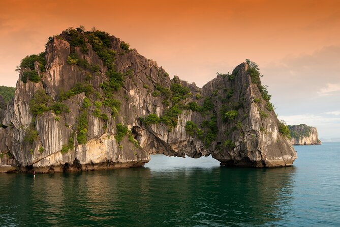 Halong Bay 6 Hours Cruise with Buffet, Sung Sot, Luon Cave, Titop - Luon Cave by Boat: The Water-Cave Experience