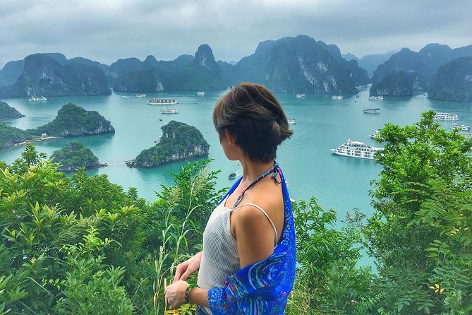 Halong Bay Cruise 2 Days - 1 Night with 5 Star Luxury - Meals and drinks: what’s included, what to budget