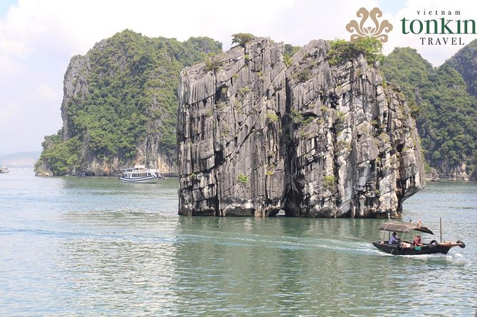 Halong Bay Day Tour: 4 hour cruising, caving, kayaking & lunch - Onboard check-in and the cruise route you’ll actually see
