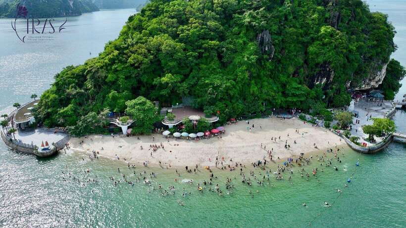 Halong bay day tour: Best seller IRIS CRUISE with live band - What to Bring (So Your Day Feels Easy)