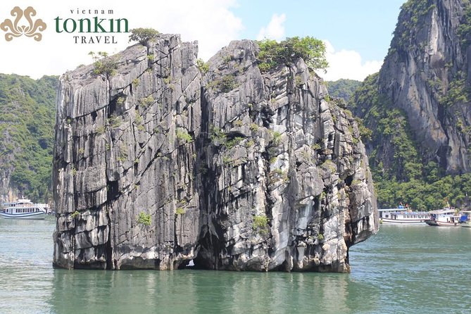 Halong bay deluxe cruise 2 days/ 1 night: kayaking, titop island, surprise cave - Titop Island: Swim or Climb for the View