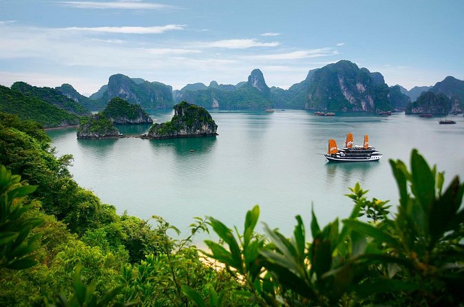 Halong Bay Luxury Cruise one day Tours - Group Size Reality: Small Numbers, Still a Busy Day