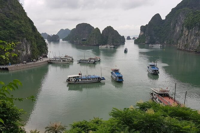 Halong Bay Shore Excursion: Full Day Cruise Tour from Cruise Port - From Cruise Port to the Bay: How the Day Flows
