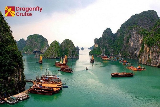 Halong Islands, Cave, Kayak, Bamboo Day Tour w Dragonfly Cruise - Value check: is $120 fair for a 10-hour Halong Bay day?