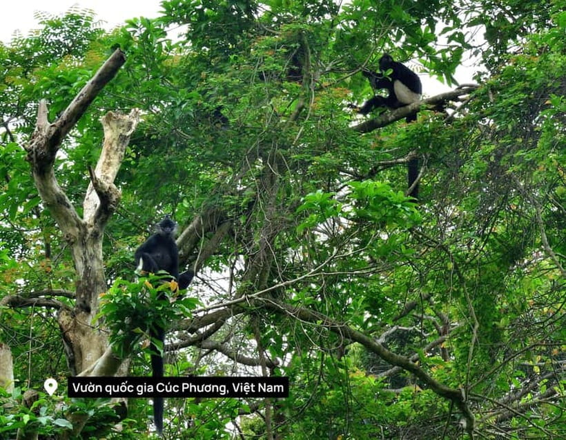 Hanoi: 2-Day Ninh Binh Excursion & Cuc Phuong Park Wildlife - Key things that make this tour worth your time