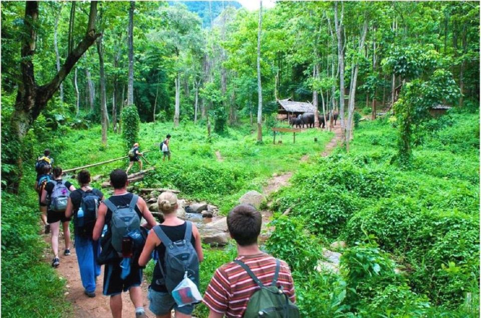 Hanoi: 3-Day Ninh Binh to Bai Tu Long Bay Tour and Cruise - Key points worth your attention