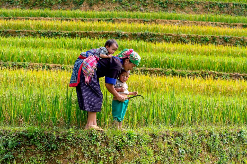 Hanoi: 3-Day Sapa Trek with Homestay - Key Moments That Make This Trek Worth Your Time