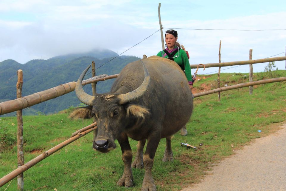 Hanoi: 3-Day Sapa Trek with Homestay - Cat Cat Village Walk: Waterfall Energy and Craft Stops