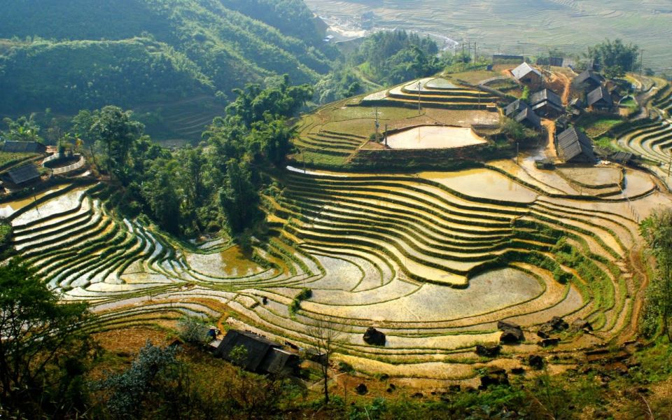 Hanoi: 3-Day Sapa Trek with Homestay - Day 3: Bamboo Forest to Giang Ta Chai, Rooster Mornings, and Takeaway Food