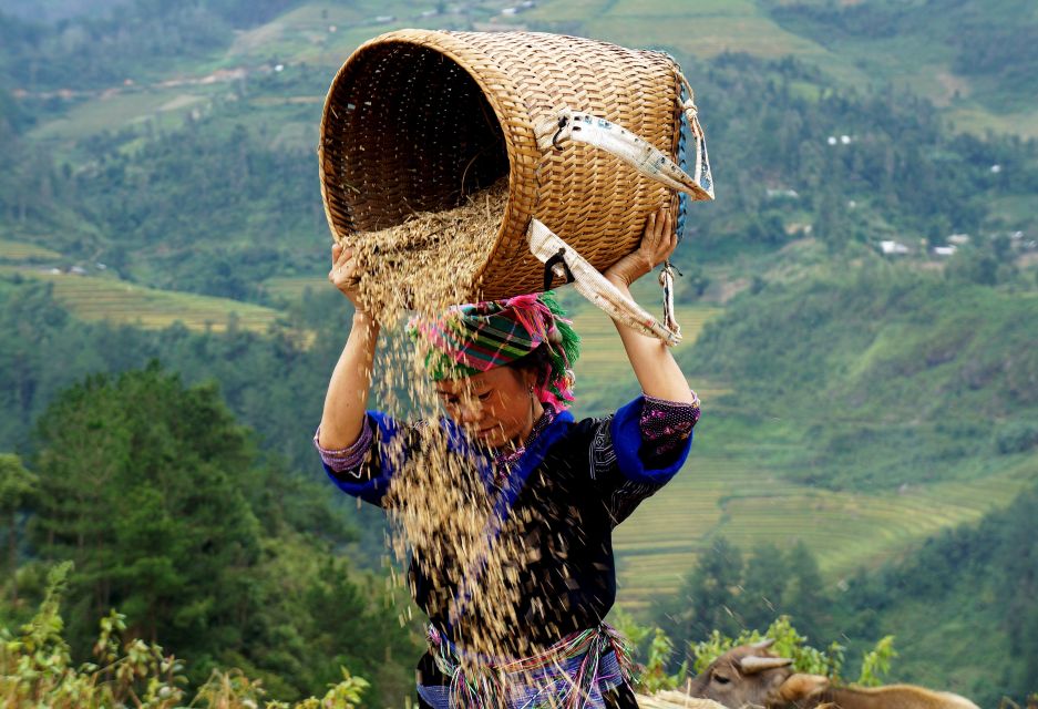 Hanoi: 3-Day Sapa Trek with Homestay - Food and Supplies: What’s Included and What You Should Budget