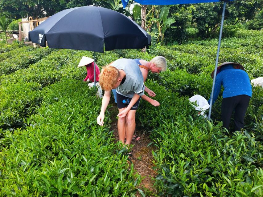 Hanoi: 3-Day Tour to Ban Gioc Waterfall and Ba Be Lake - Key Things I’d Put at the Top