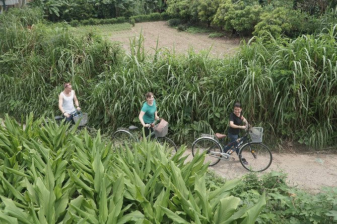Hanoi Backstreet Bicycle Tour - St Joseph’s Cathedral and Hoan Kiem Lake: photos plus context