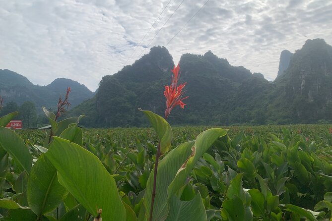 Hanoi - Cao Bang city - Ban Gioc Warterfall 2days/2nights ED7 - Food on this route: the value is in having meals handled