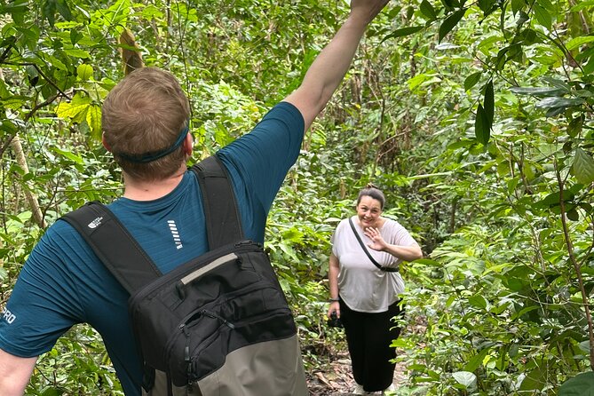 Hanoi/Cat Ba: Full day CatBa National Park - LanHa Bay Adventure - Who this tour suits best (and who should skip it)