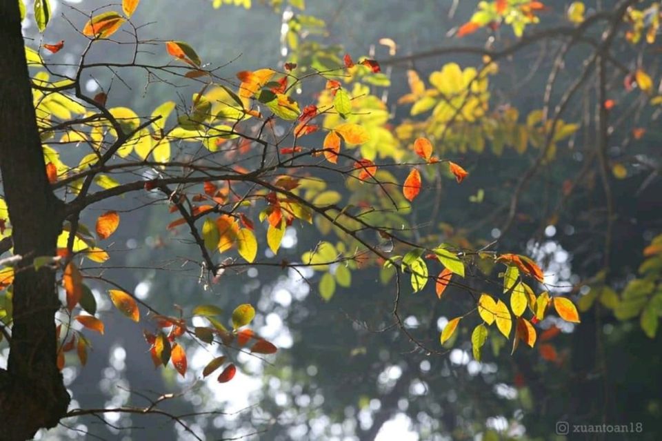 Hanoi: City Highlights Tour with Transfer and Lunch - A one-day route that actually covers Hanoi’s priorities